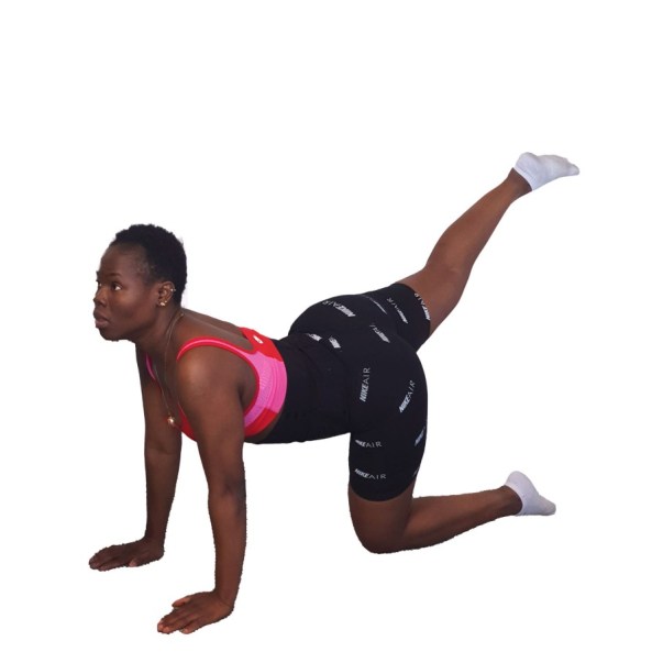 BENT KNEES DONKEY KICKS